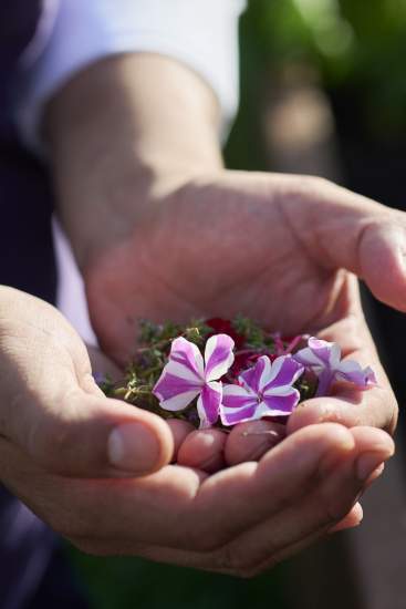 The Commitments of the Villa René Lalique · Hotel and Restaurant in Alsace